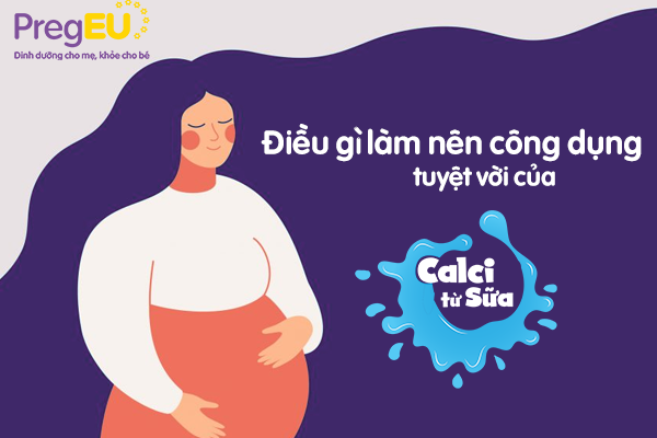 Điều gì làm nên công dụng tuyệt vời của canxi từ sữa trong vitamin tổng hợp cho mẹ bầu PregEU