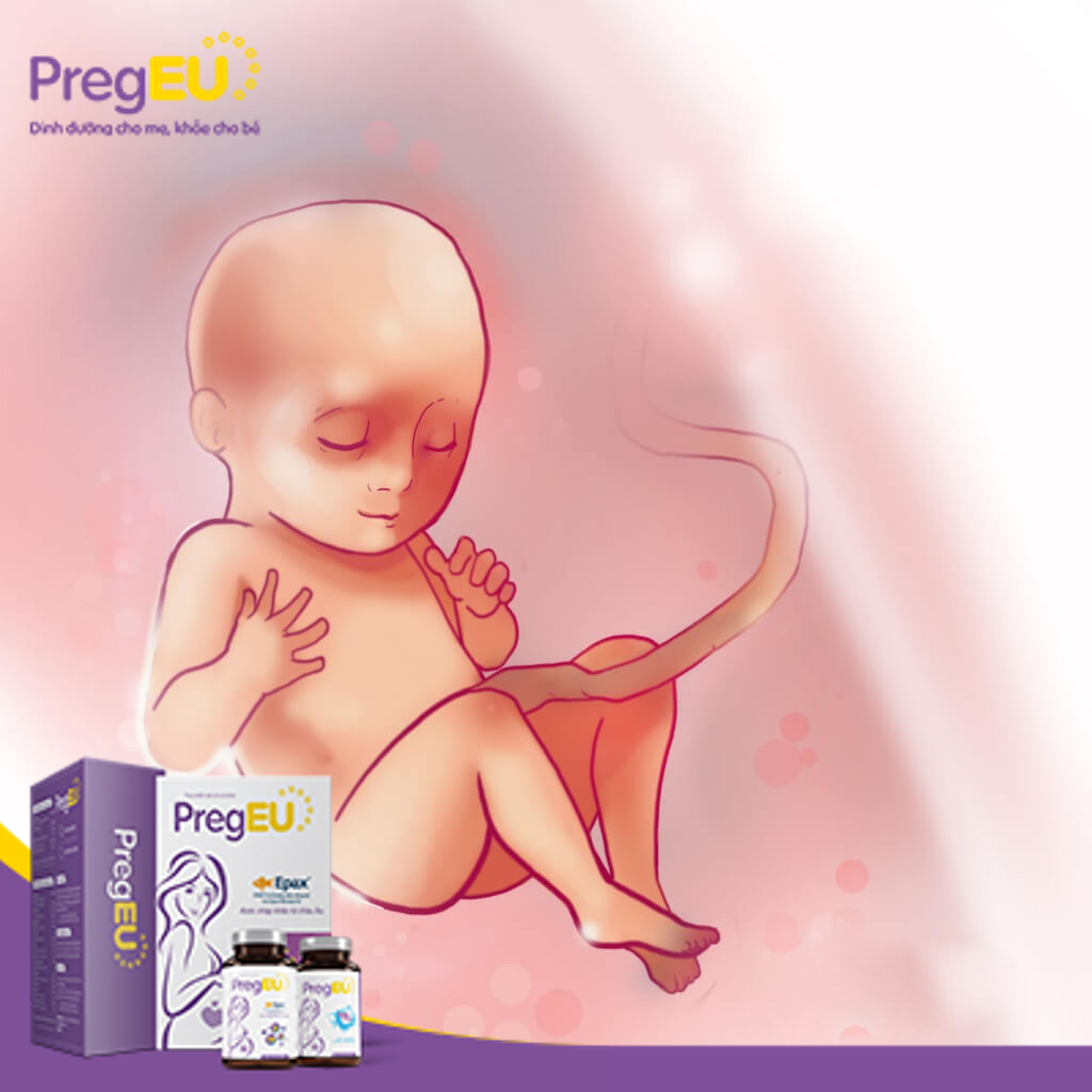 Thiếu máu thai kỳ gây ra nhiều hậu quả nghiêm trọng cho cả mẹ bầu và thai nhi