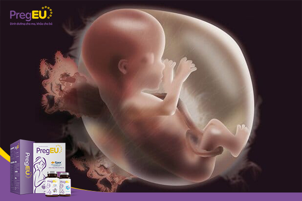 Trong giai đoạn đầu thai kỳ, thiếu hụt acid folic có thể dẫn đến nguy cơ dị tật ống thần kinh cho trẻ