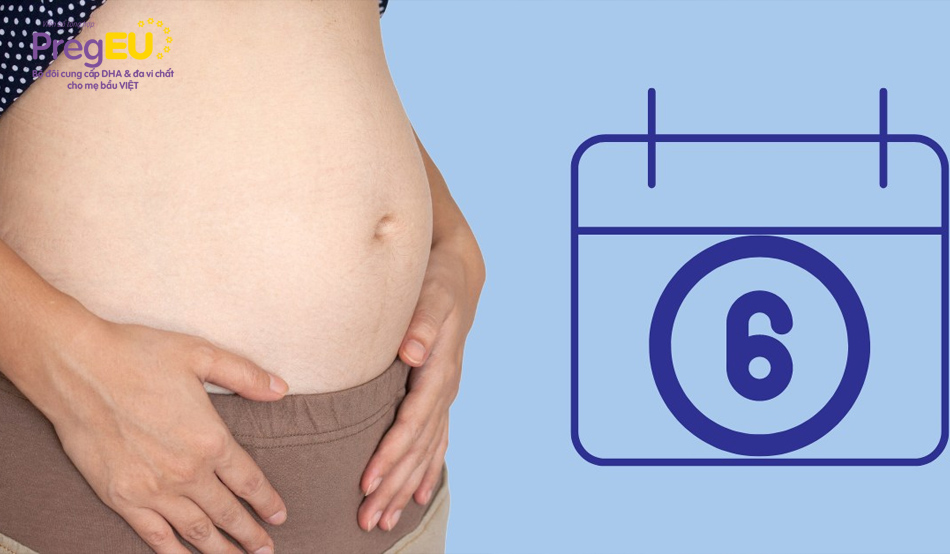 Dinh dưỡng thai kỳ: Mang thai tuần thứ 6 nên ăn gì?