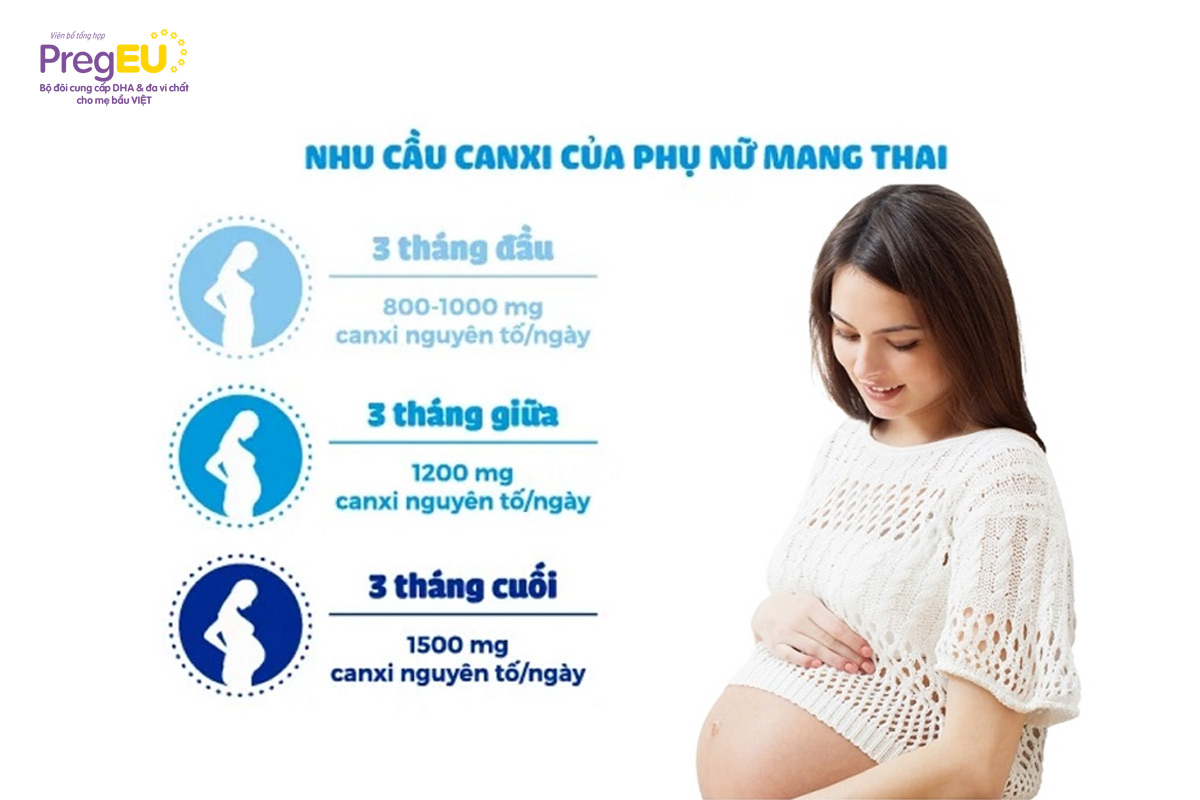 Nhu cầu canxi hằng ngày theo từng giai đoạn của phụ nữ mang thai